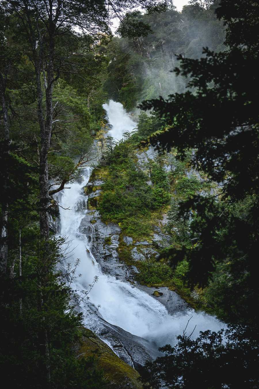 Cascada entre bosque nativo